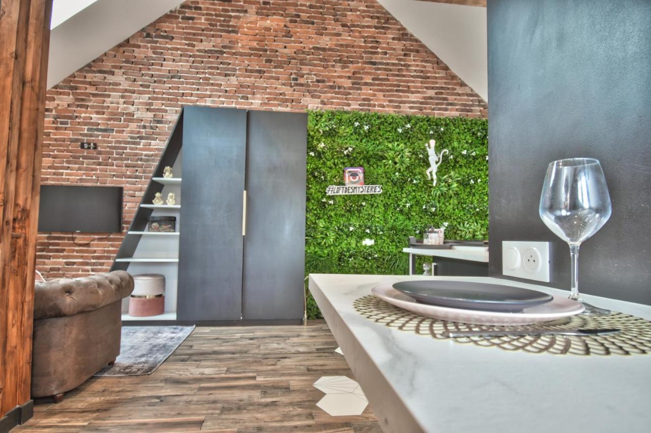 Апартаменты * Le Loft Des Mysteres * Мэнтенон Экстерьер фото
